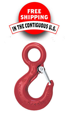 Crane Lifting Forged S-320 Small Eye Hooks with Latch - China Clevis Grab  Hook, Eye Hook